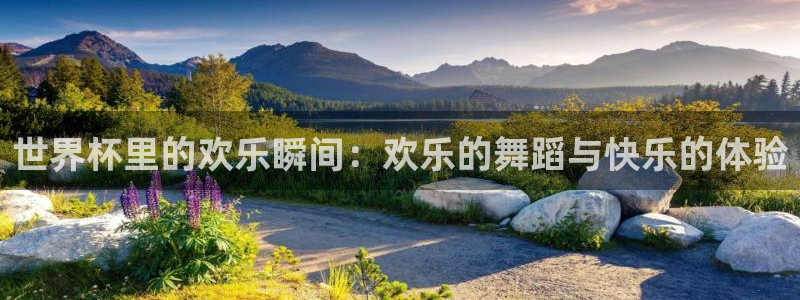 世界杯赛程时间表：世界杯里的欢乐瞬间：欢乐的舞蹈与快乐的体验