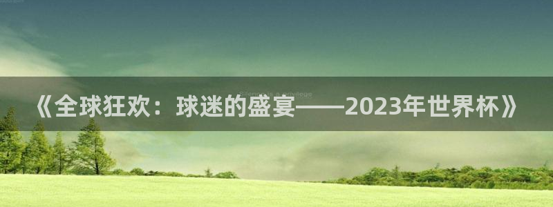足球世界杯：《全球狂欢：球迷的盛宴——2023年世界杯》