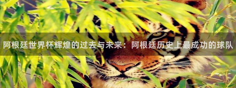 2026葡萄牙杯赛程表：阿根廷世界杯辉煌的过去与未来：阿根廷历史上最成功的球队