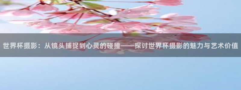 女足世界杯赛程：世界杯摄影：从镜头捕捉到心灵的碰撞——探讨世界杯摄影的魅力与艺术价值