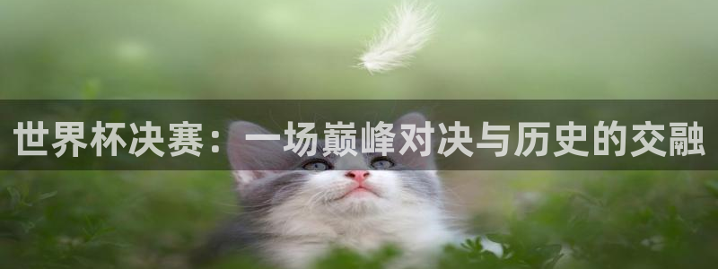 葡萄牙世界杯赛程：世界杯决赛：一场巅峰对决与历史的交融