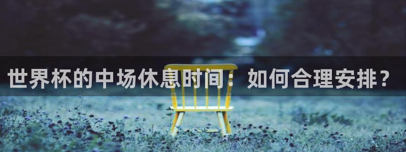 26世界杯：世界杯的中场休息时间：如何合理安排？