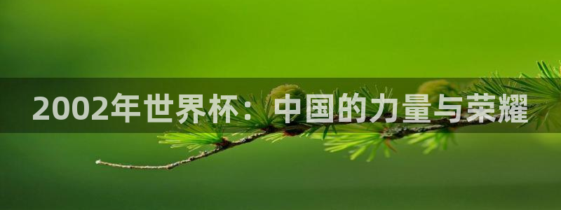 2026足球世界杯赛程时间表:2002年世界杯:中国的力量与荣耀