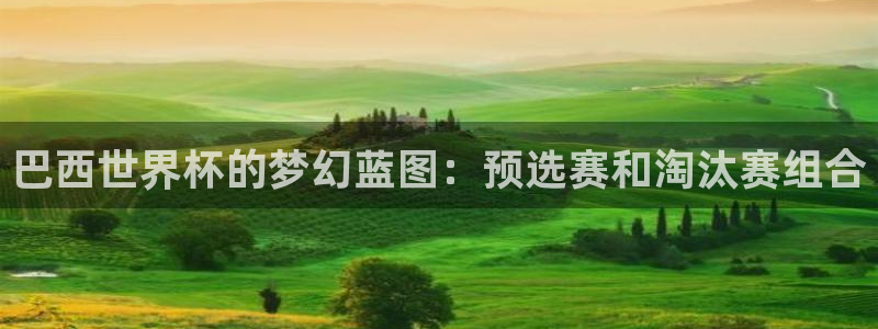 世界杯预选赛规则：巴西世界杯的梦幻蓝图：预选赛和淘汰赛组合