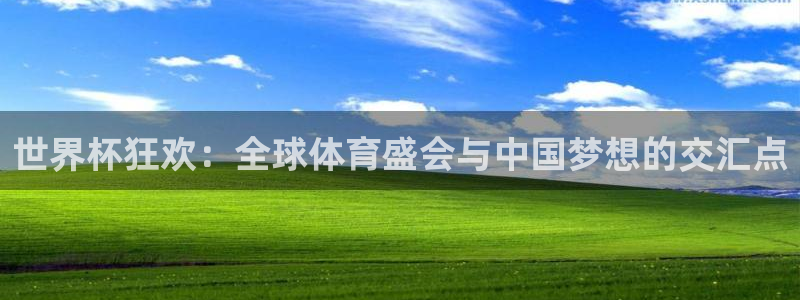 女足世界杯赛程：世界杯狂欢：全球体育盛会与中国梦想的交汇点