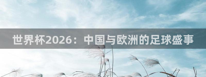世界杯预选赛欧洲赛区积分榜：世界杯2026：中国与欧洲的足球盛事