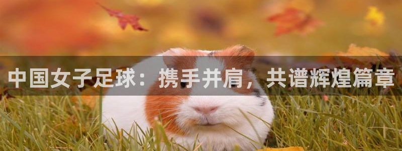 世界杯球队排名：中国女子足球：携手并肩，共谱辉煌篇章