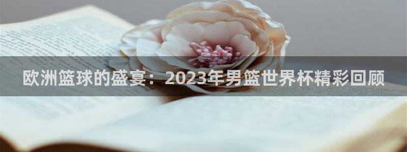 世界杯：欧洲篮球的盛宴：2023年男篮世界杯精彩回顾