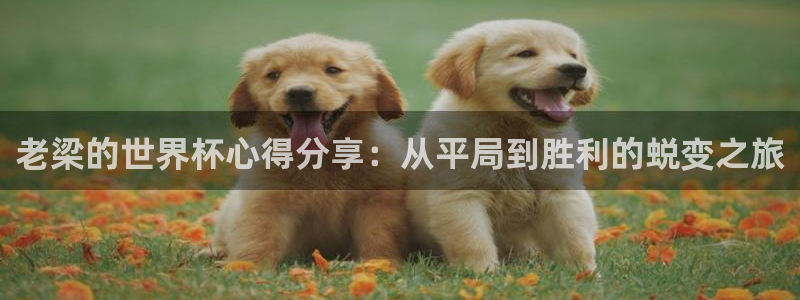 澳门世界杯直播：老梁的世界杯心得分享：从平局到胜利的蜕变之旅