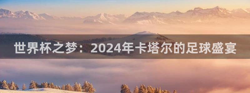 世界杯 赛程：世界杯之梦：2024年卡塔尔的足球盛宴