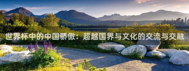 2026年世界杯时间表：世界杯中的中国骄傲：超越国界与文化的交流与交融