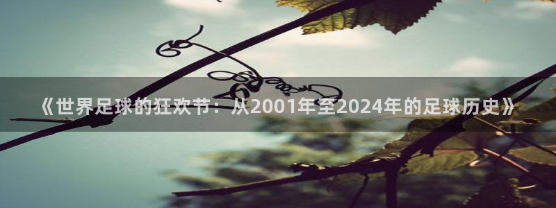 2026世界杯欧洲预选赛赛程表：《世界足球的狂欢节：从2001年至2024年的足球历史》