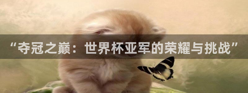 英足总杯直播：“夺冠之巅：世界杯亚军的荣耀与挑战”